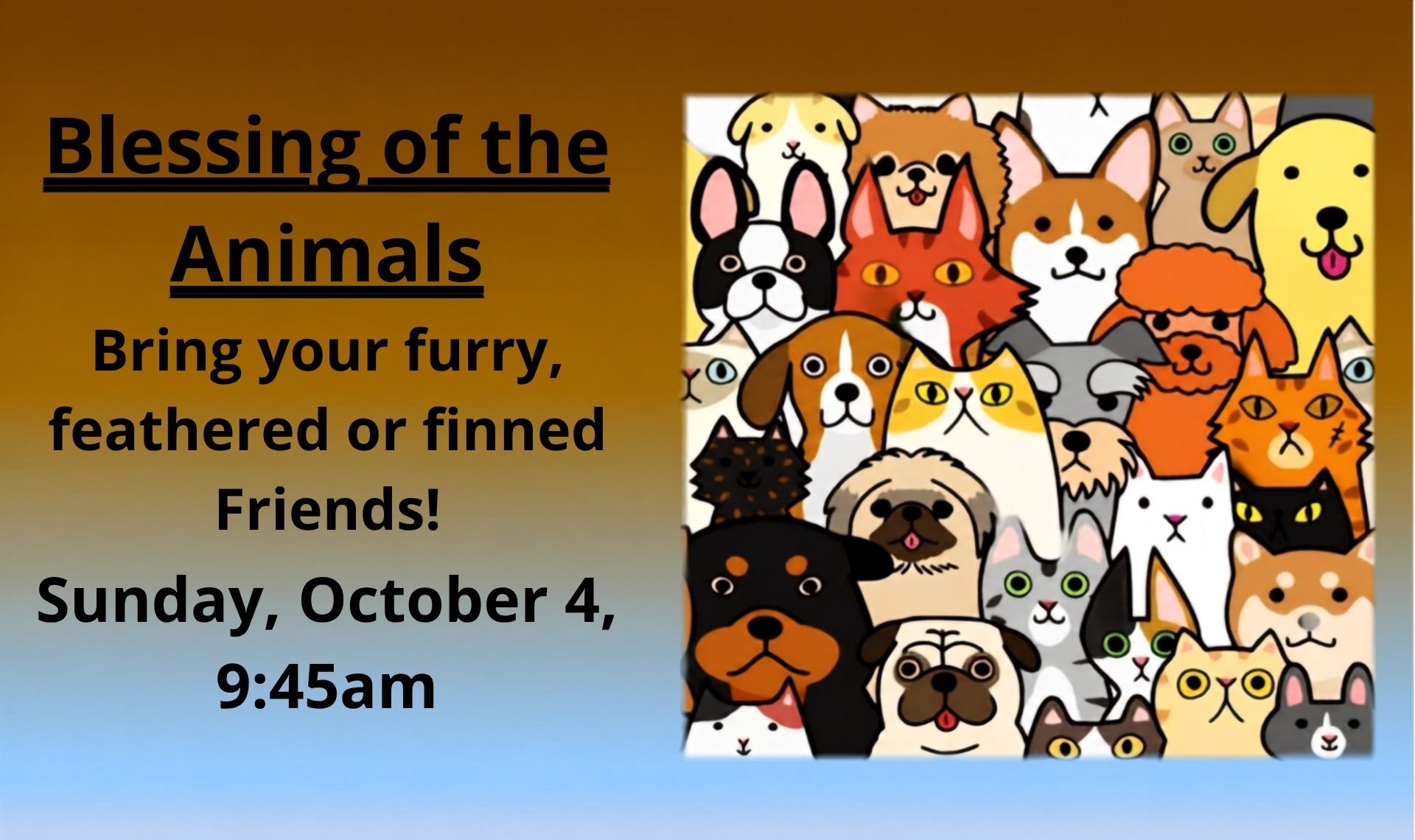 blessing of animals (1)